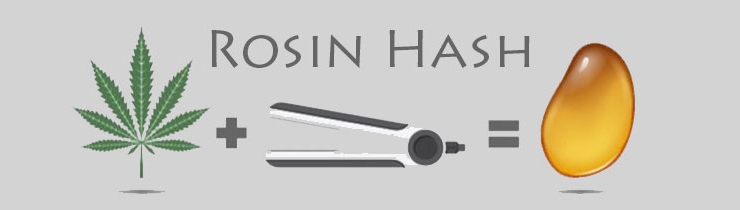 ¿Qué es el Rosin Hash?