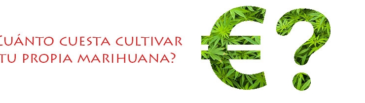 ¿Cuanto cuesta Cultivar tu propia Marihuana?